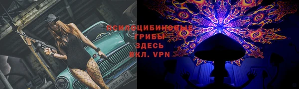 таблы Вяземский