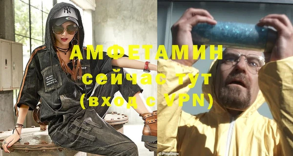 мдпв Горняк
