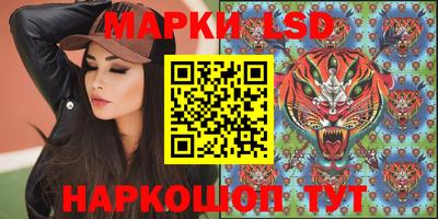 ПСИЛОЦИБИНОВЫЕ ГРИБЫ Гатчина