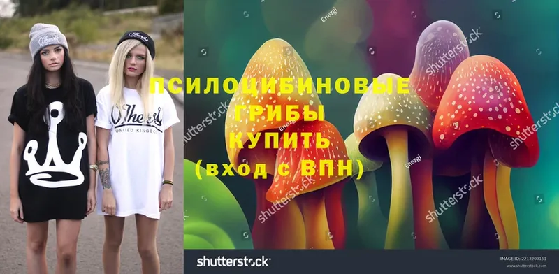 Псилоцибиновые грибы Magic Shrooms  Донецк 