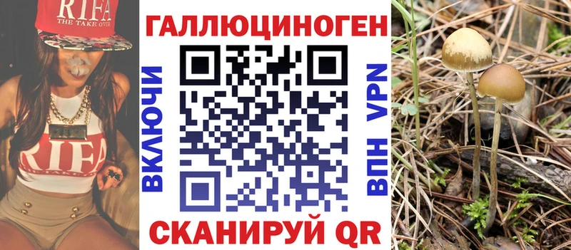 Псилоцибиновые грибы Cubensis МЕГА tor shop Telegram магазин наркотиков Донецк