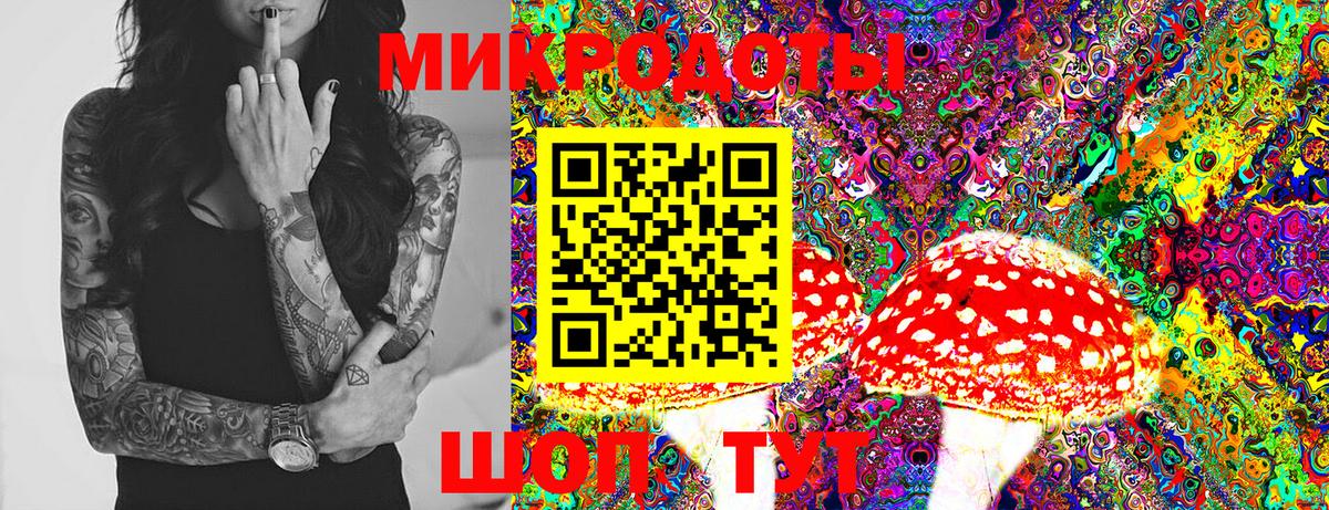 Псилоцибиновые грибы Psilocybe Донецк