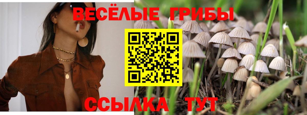 Псилоцибиновые грибы GOLDEN TEACHER  Донецк 