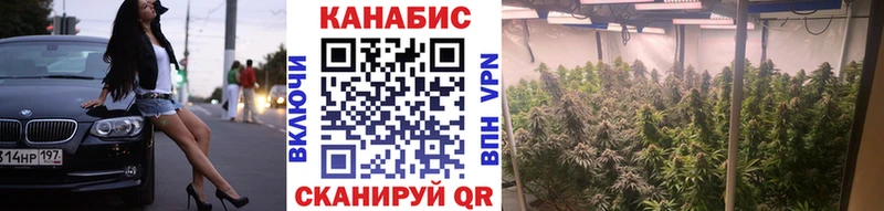 Конопля Bruce Banner Донецк